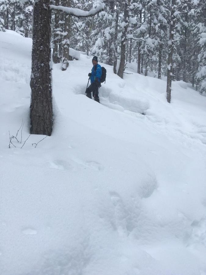 Ferienwohnung Zwoelferblick Bramberg am Wildkogel Esterno foto